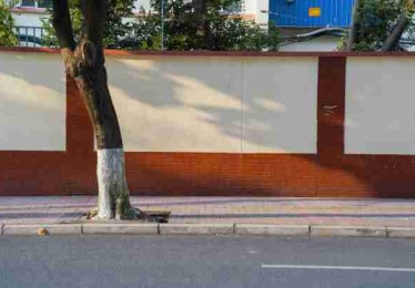 新手必看：每日大赛官网爆点事件懒人包