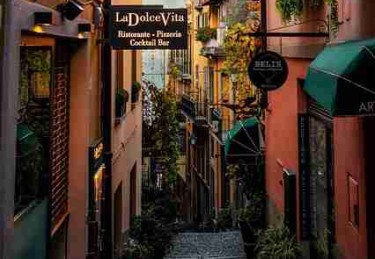 10分钟速览每日大赛在线免费观看高光瞬间（深度复盘）