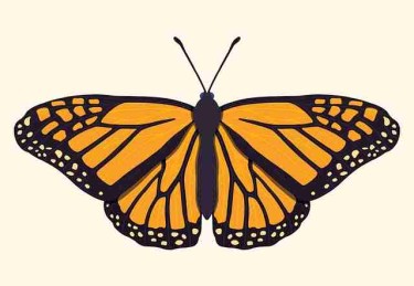 图解版：糖心vlog新官方入口版本更新完整版