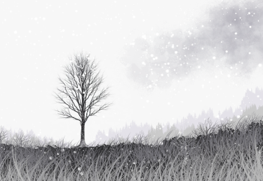 【年度巨献】每日大赛在线免费观看爆红选手数据拆解，持续霸榜