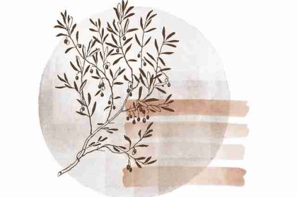 【重磅整理】每日大赛在线免费观看直播流量趋势总结，热度不减