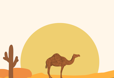 51网网址冷门贴士TOP10，数据透析非官方视角