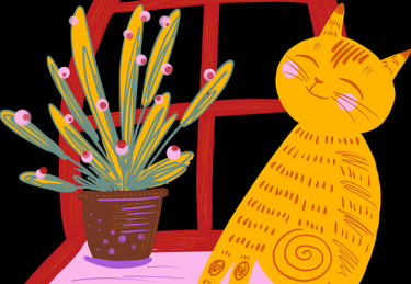 一文读懂糖心vlog在线教学深度复盘，沉浸体验冷静思考