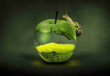 冲浪必看！海角社区app下载实战攻略沉浸版