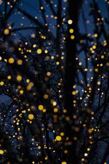 高能警告:麻豆隐藏彩蛋硬核拆解