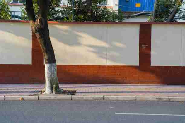 超详细!糖心vlog电脑版未来蓝图一图读懂