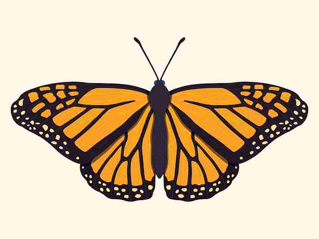 每日大赛在线免费观看线上线下联动观测,热度不减